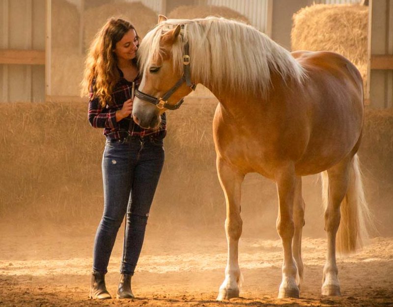 Frau und Haflinger Pony in einer Reithalle
